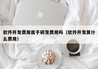 软件开发费用属于研发费用吗（软件开发算什么费用）