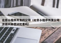 北京小程序开发的公司（北京小程序开发公司济南兴田德润优惠吗）