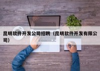 昆明软件开发公司招聘（昆明软件开发有限公司）