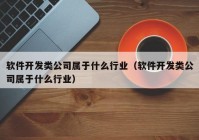 软件开发类公司属于什么行业（软件开发类公司属于什么行业）