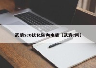 武清seo优化咨询电话（武清e网）