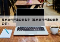 昆明软件开发公司名字（昆明软件开发公司新公司）