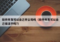 软件开发可以自己开公司吗（软件开发可以自己接活干吗?）