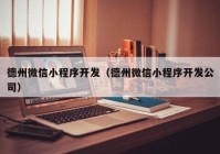 德州微信小程序开发（德州微信小程序开发公司）