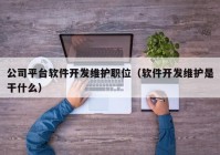 公司平台软件开发维护职位（软件开发维护是干什么）