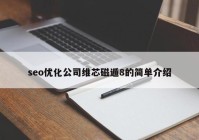 seo优化公司维芯磁遁8的简单介绍