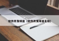 软件开发项目（软件开发项目名称）