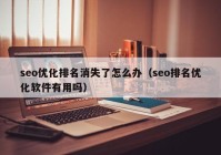 seo优化排名消失了怎么办（seo排名优化软件有用吗）