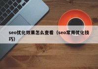 seo优化效果怎么查看（seo常用优化技巧）