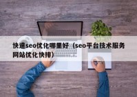 快速seo优化哪里好（seo平台技术服务网站优化快排）